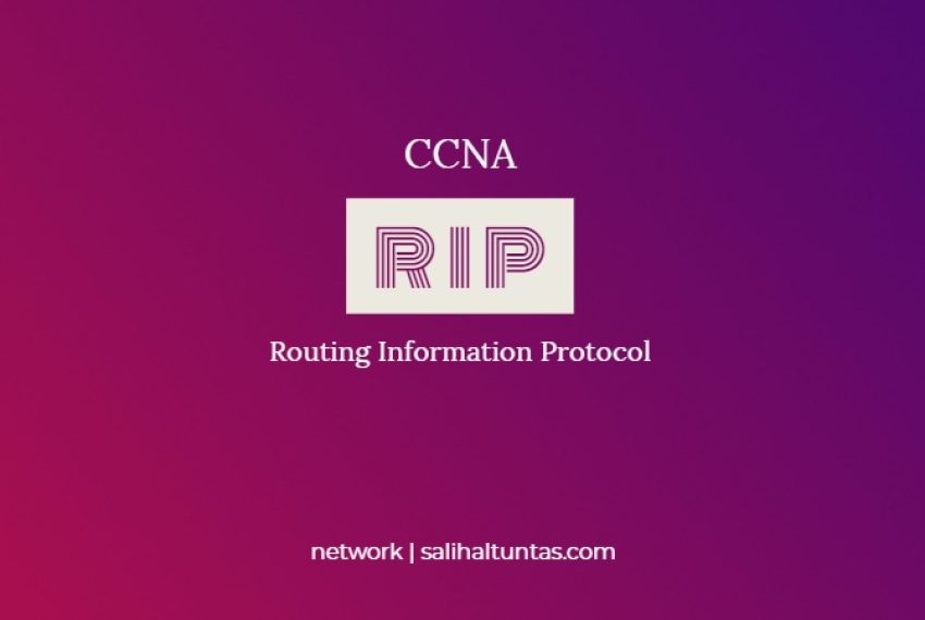 Router RIP (Routing  Information Protocol)