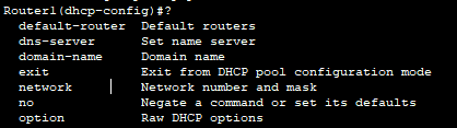 router dhcp options